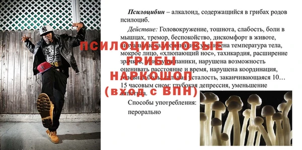 гидропоника Богданович
