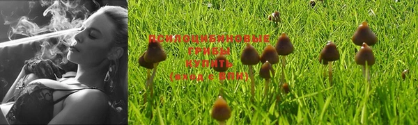 гидропоника Богданович